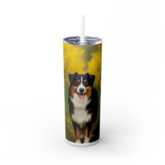 Australian Shepherd Skinny Tumbler with Straw, 20oz