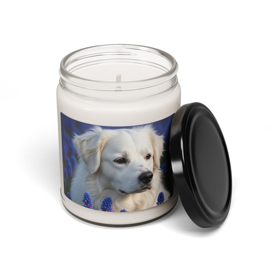 Portuguese Sheepdog- Scented Soy Candle, 9oz