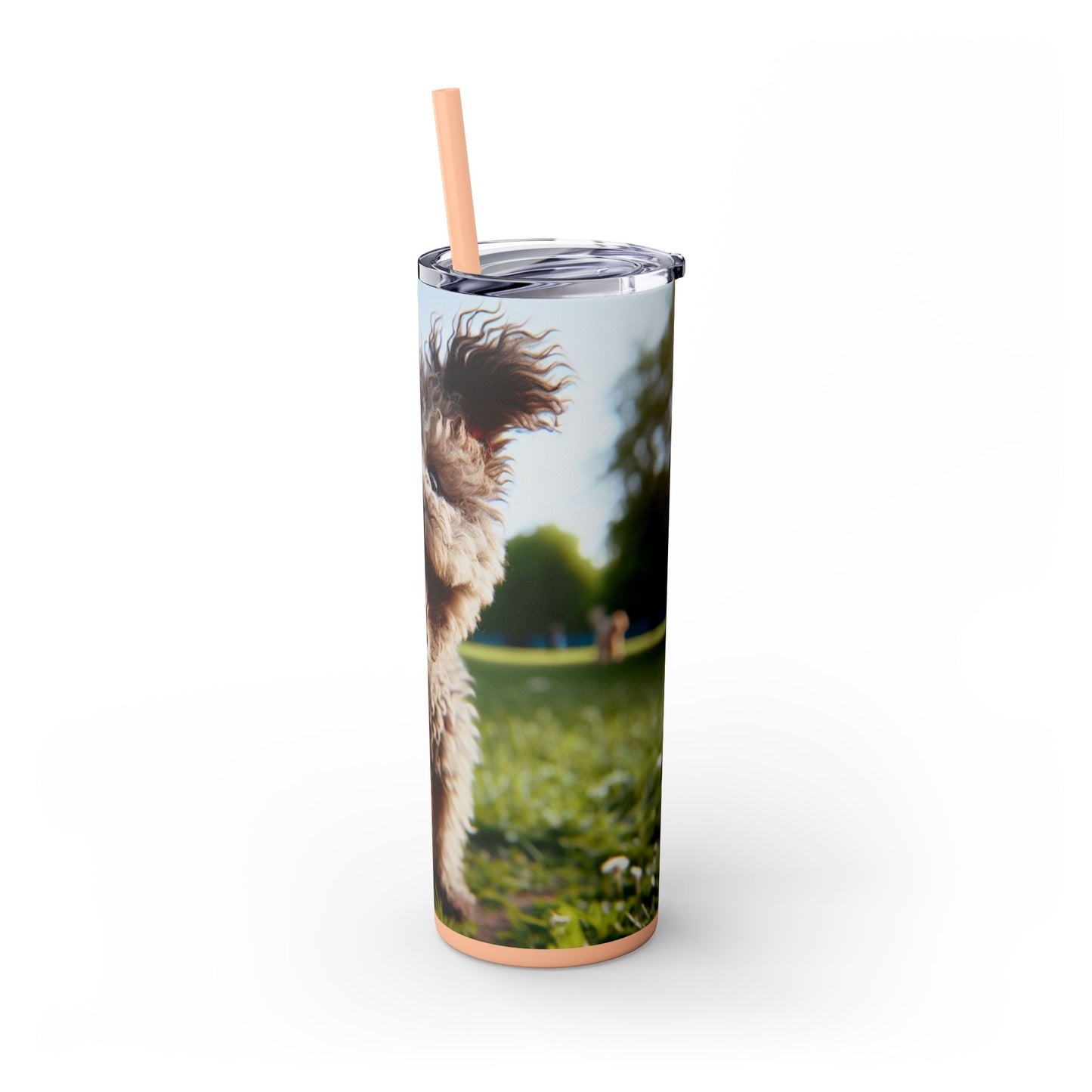 Pumi Skinny Tumbler with Straw, 20oz