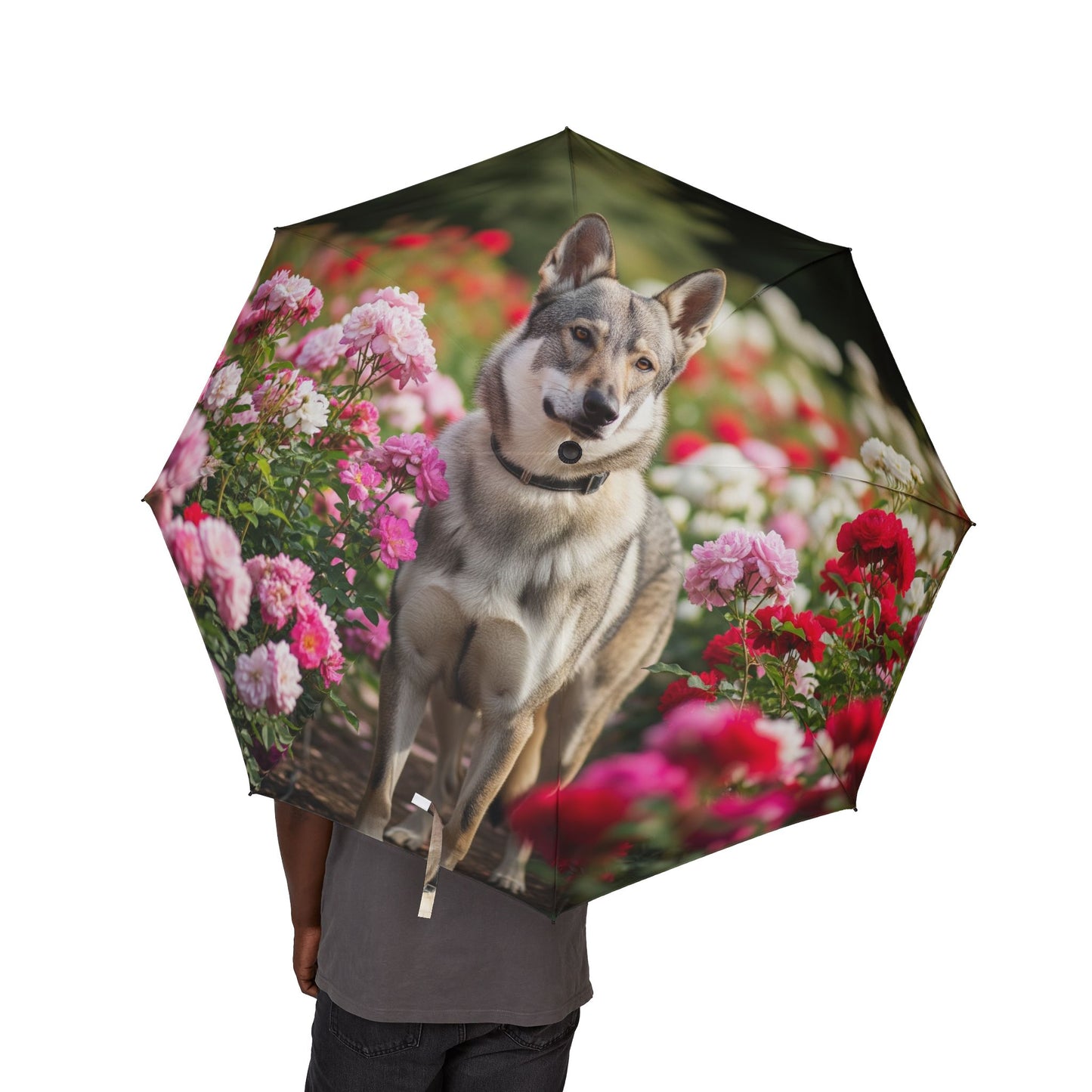 Parapluie pliant semi-automatique Vlcak tchécoslovaque