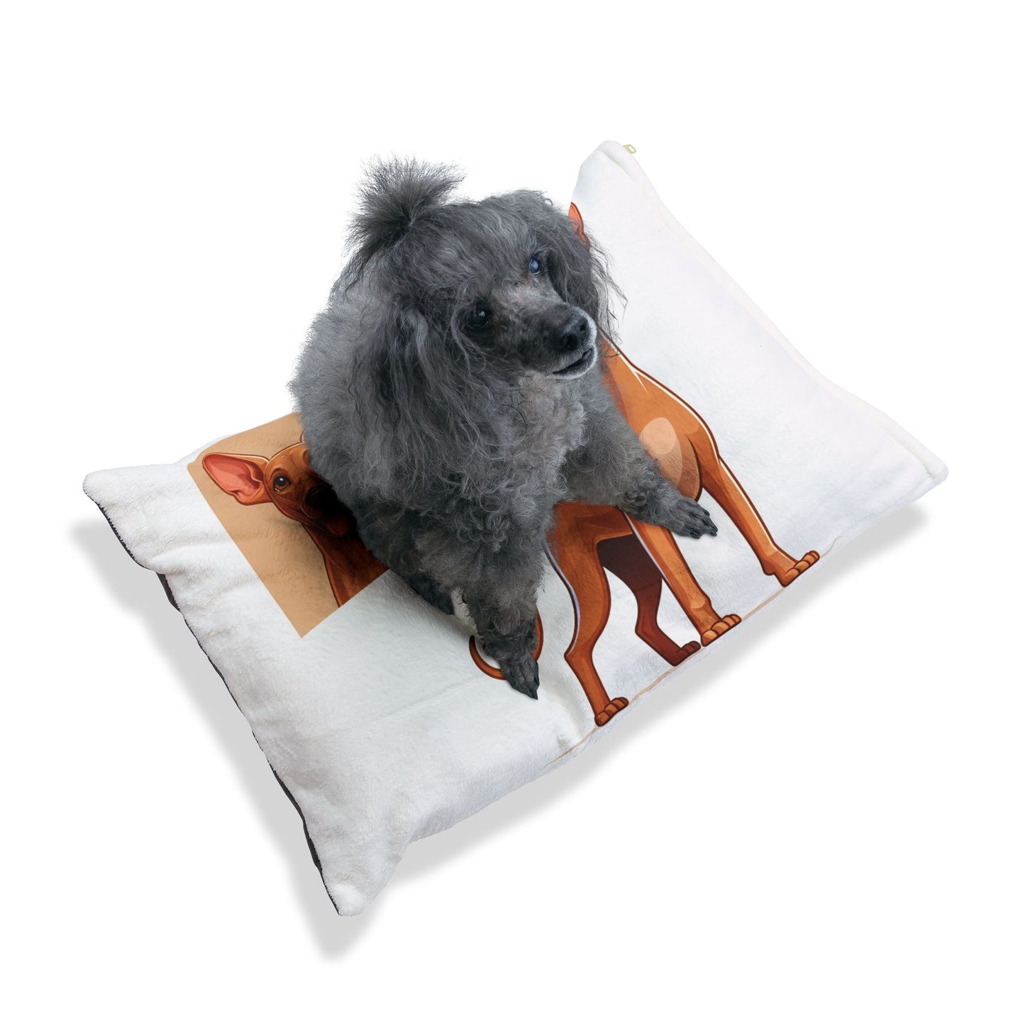Pharaoh Hound Pet Bed