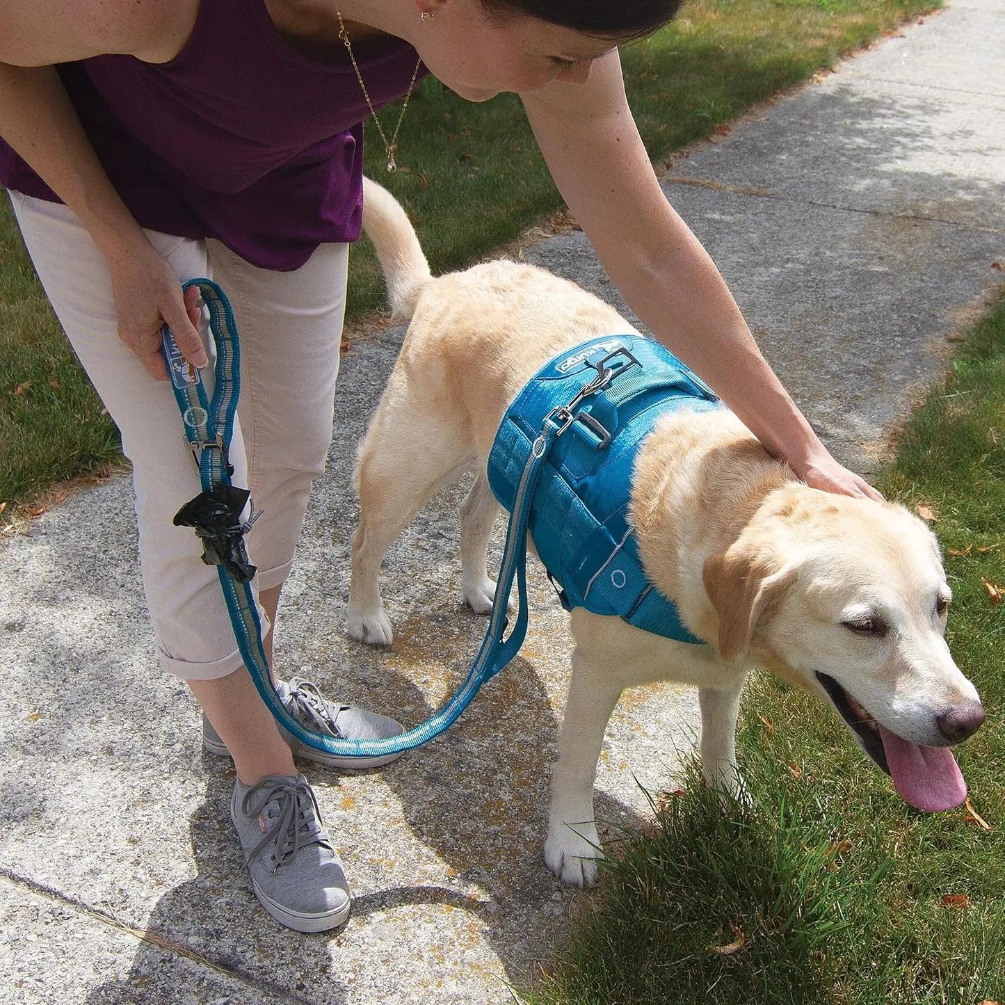 Laisse courte RSG pour chiens | Laisse réglable | Laisse mains libres pour la marche, le jogging ou la course | Laisse personnalisable compatible MOLLE | Poignée de dressage | Attache-sangle | Réfléchissante | 122 cm