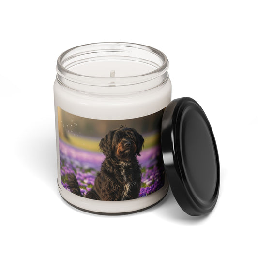 Schapendoes- Scented Soy Candle, 9oz