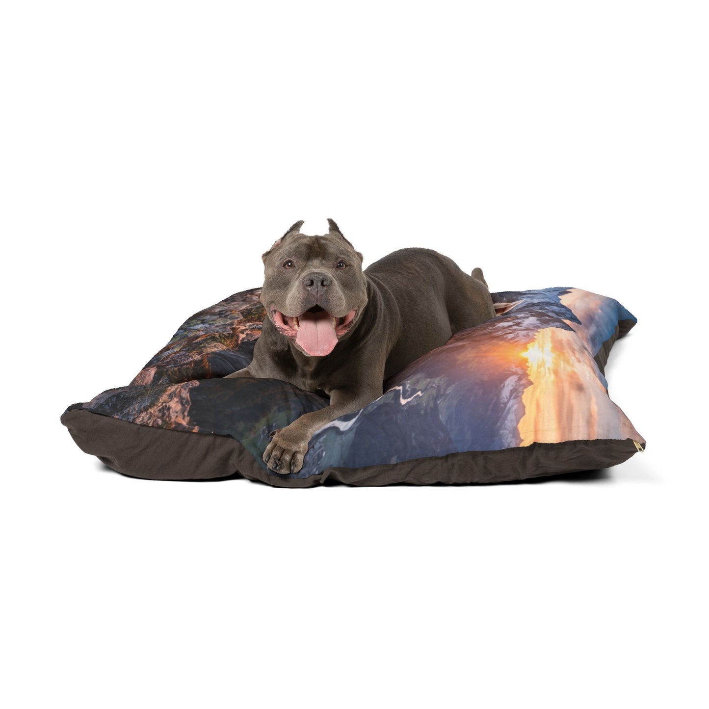 White Swiss Shepherd Dog Pet Bed