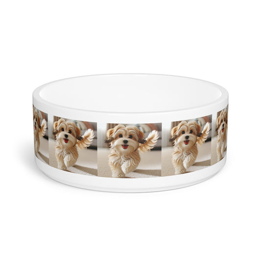Gamelle pour animaux Morkie