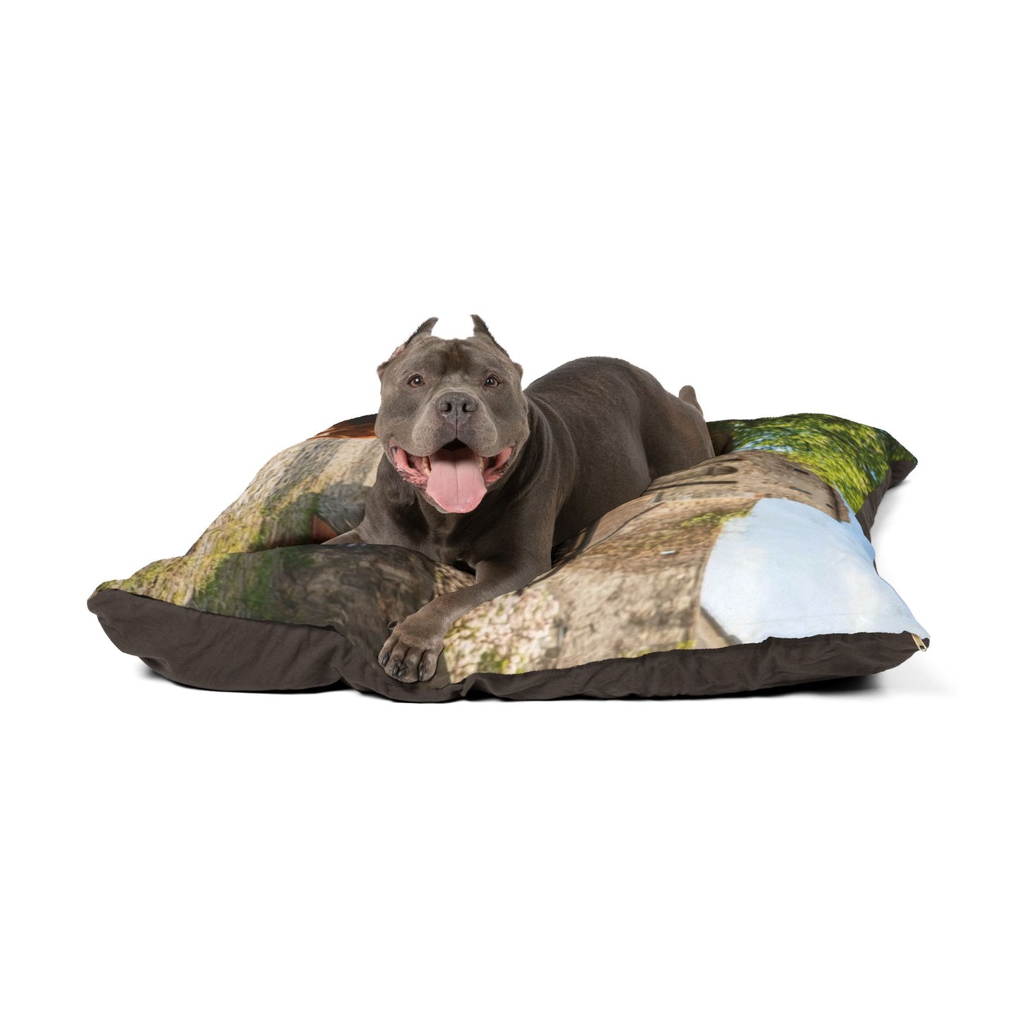 Alpine Dachsbracke Pet Bed