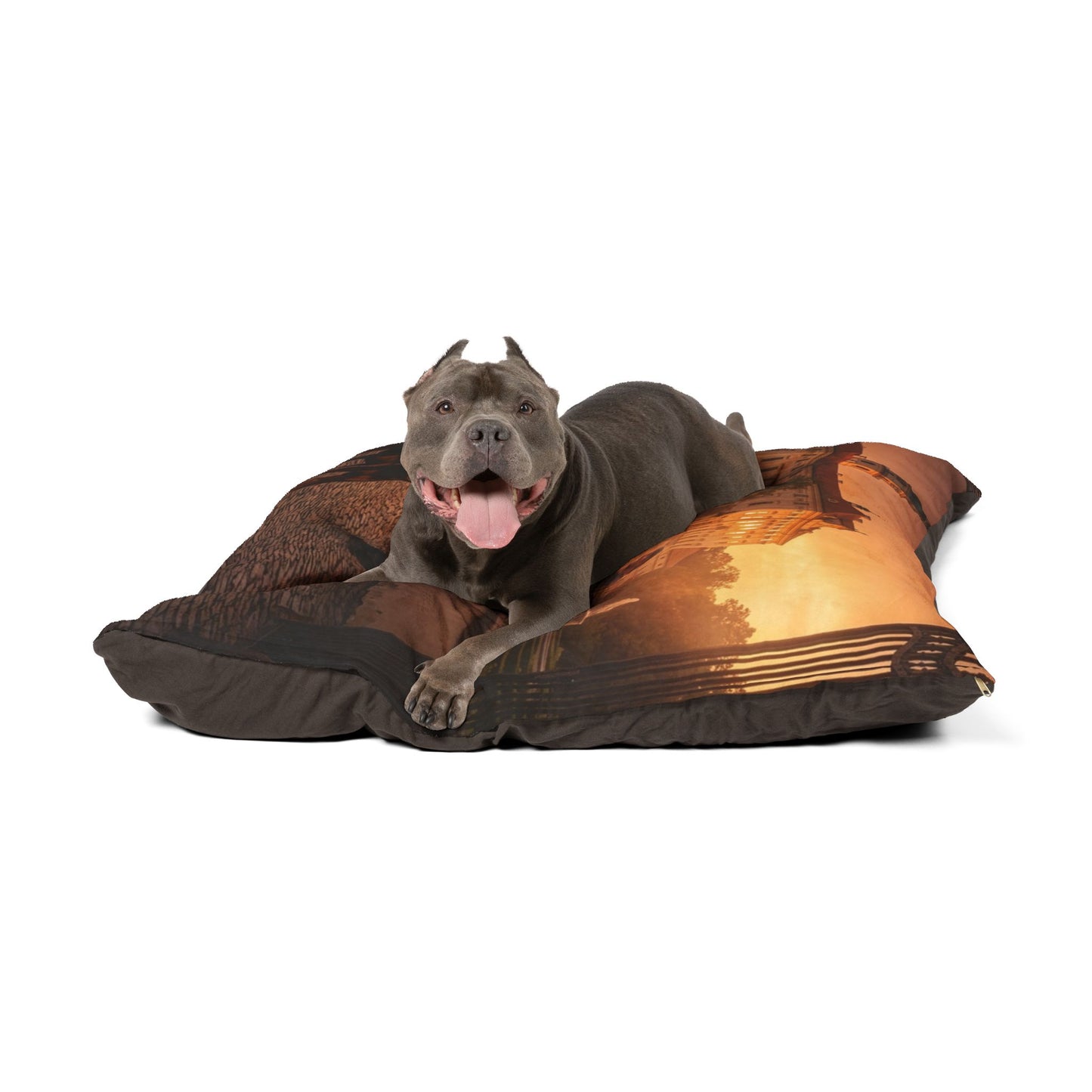 Pražský Krysařík Pet Bed