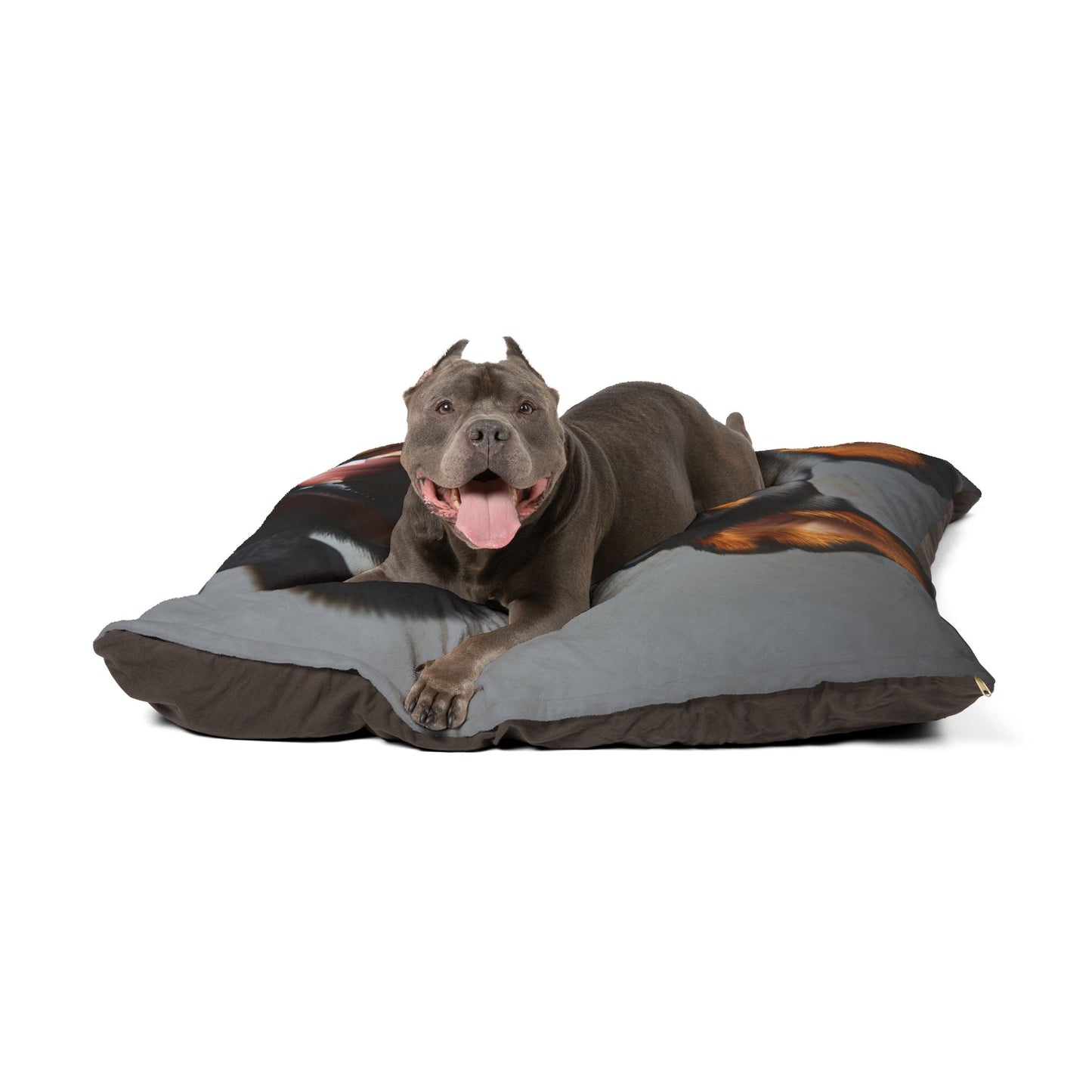 Lancashire Heeler Pet Bed
