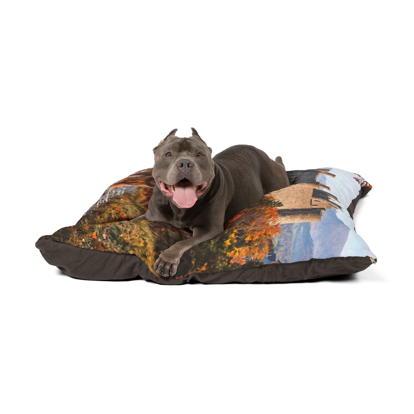 Welsh Terrier Pet Bed
