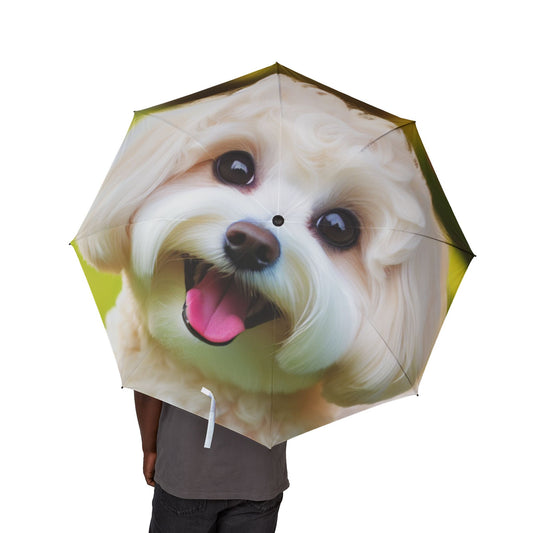 Maltipoo Semi-Automatic Foldable Umbrella
