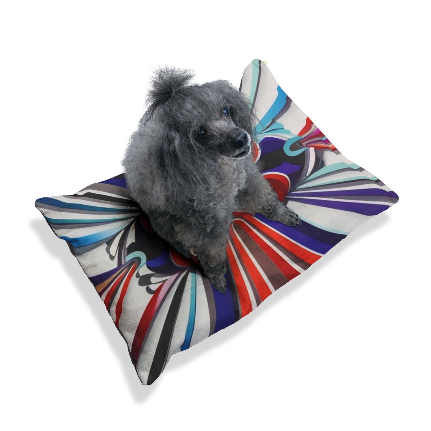 Optical Illusion Pet Bed