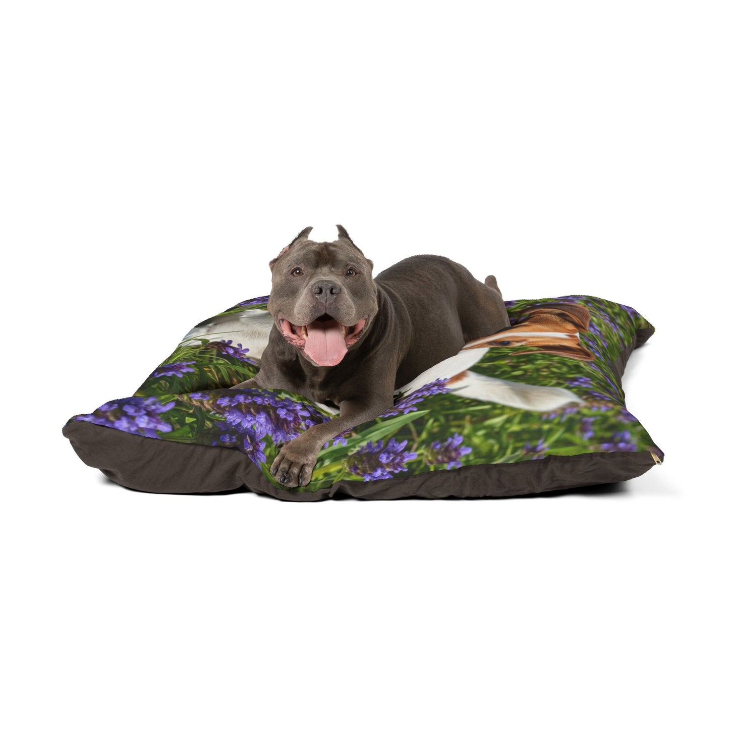 Jack Russell Terrier Pet Bed