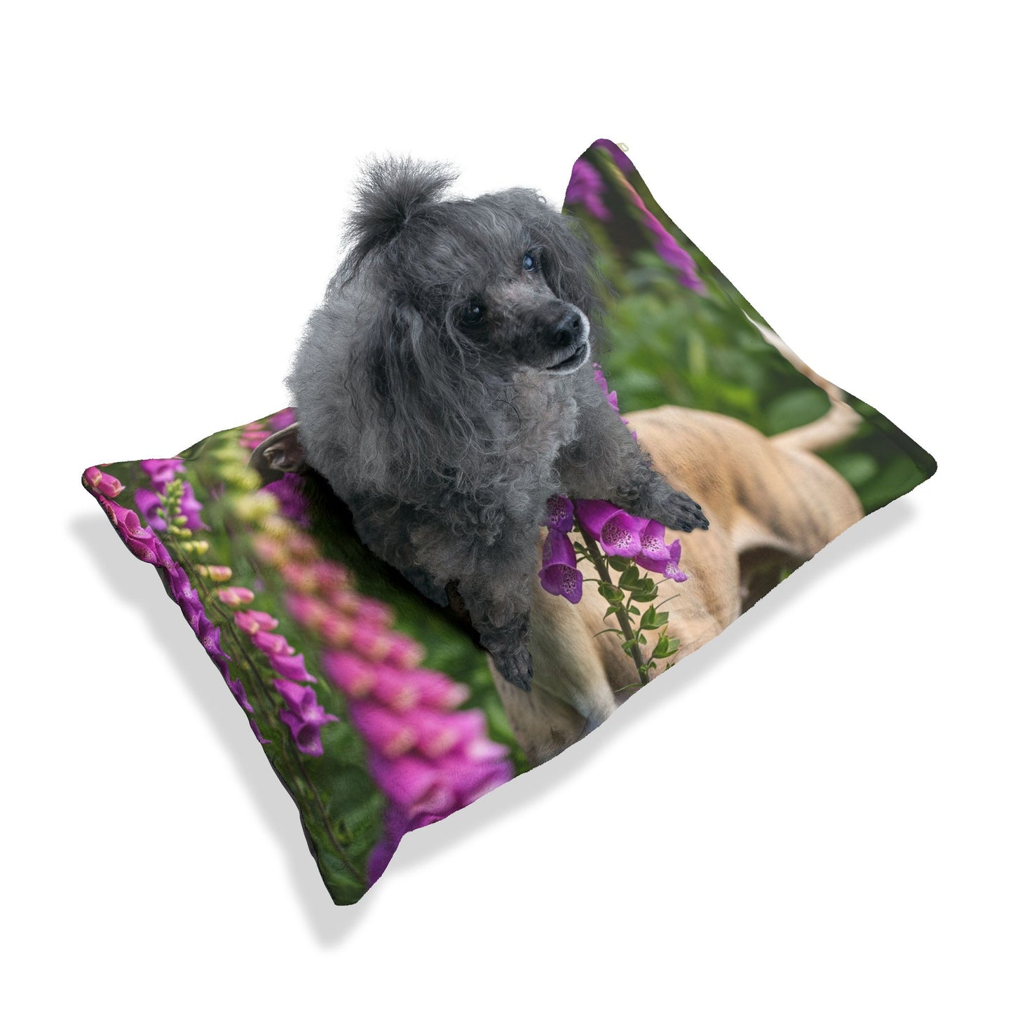 Whippet Pet Bed