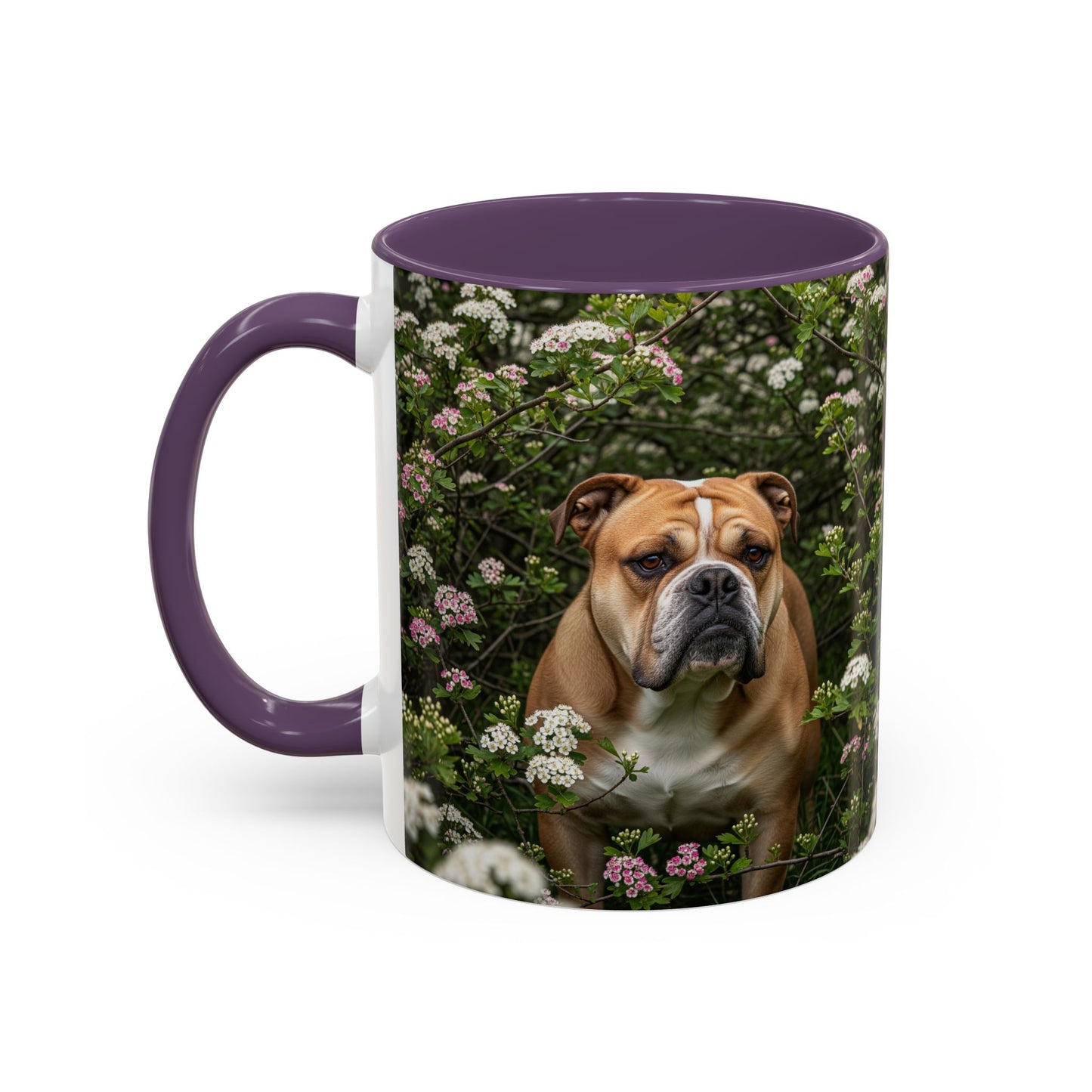 Mug à café Olde English Bulldogge Accent - Cadeau idéal pour les amoureux des chiens
