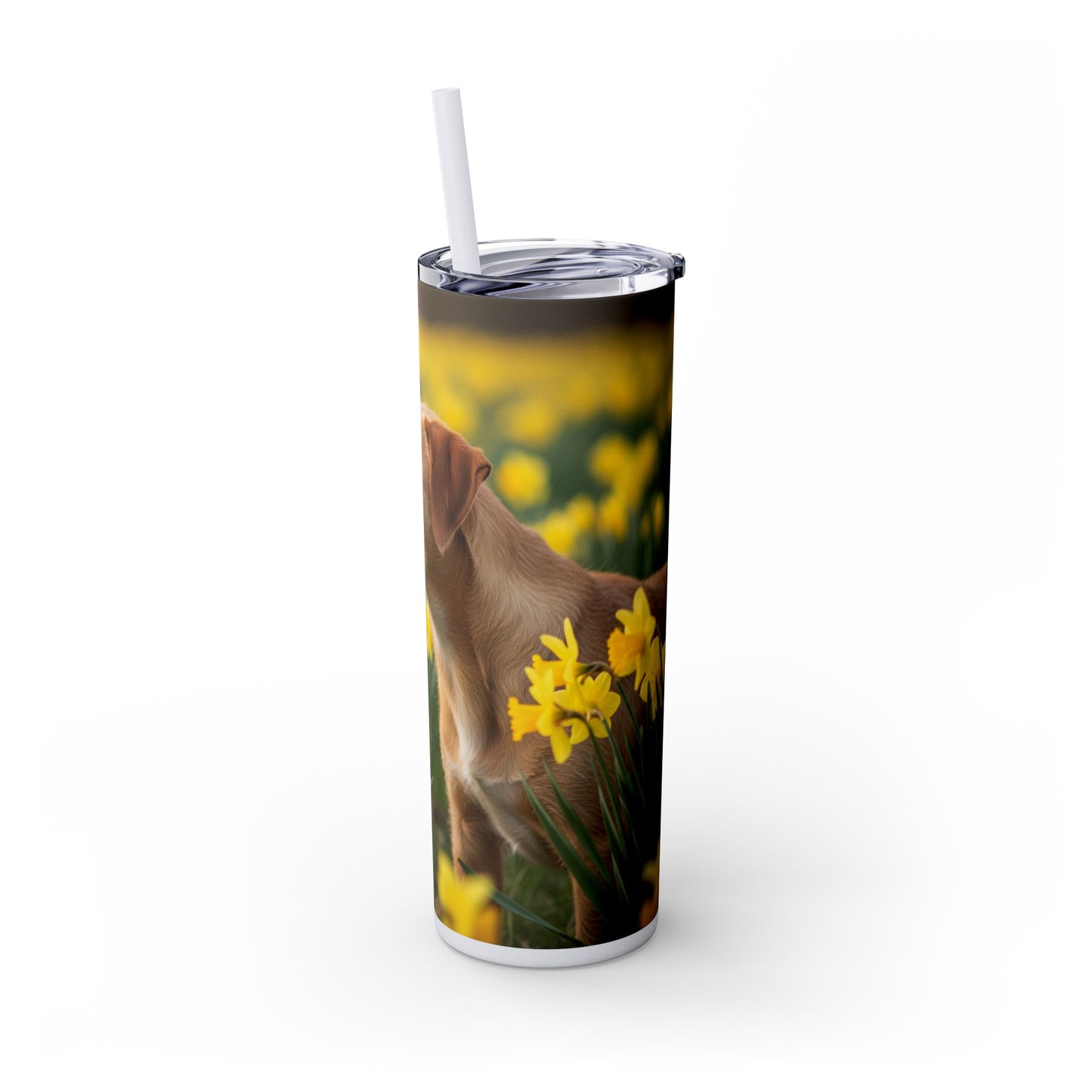 Portuguese Podengo Pequeno Skinny Tumbler with Straw, 20oz