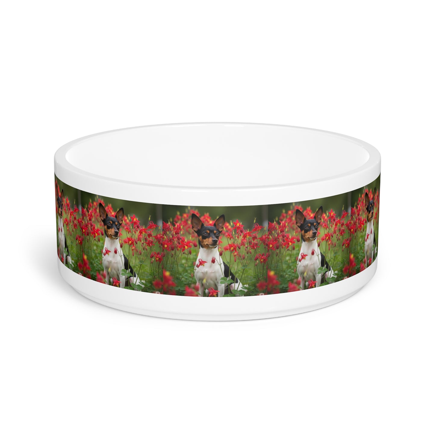 Toy Fox Terrier Pet Bowl