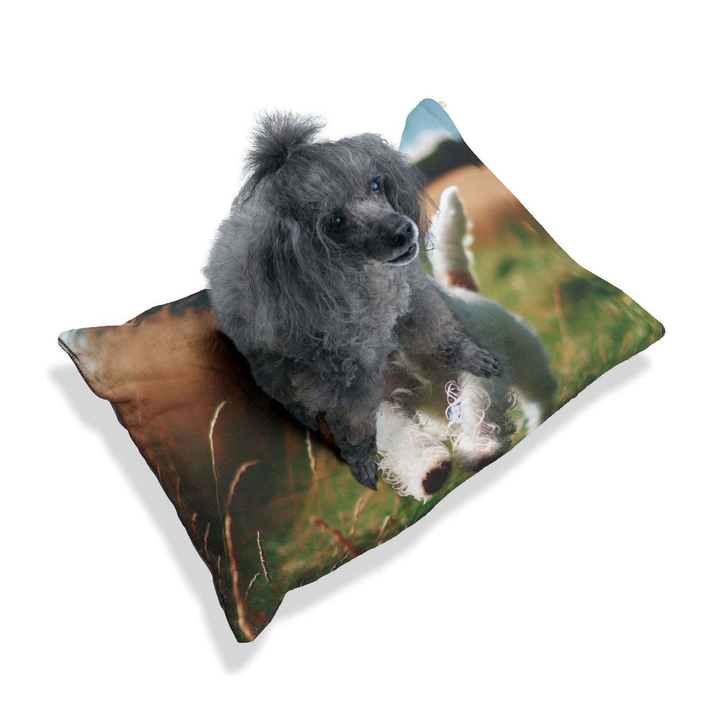Tenterfield Terrier Pet Bed