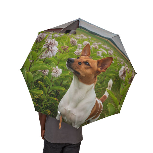 Rat Terrier Semi-Automatic Foldable Umbrella