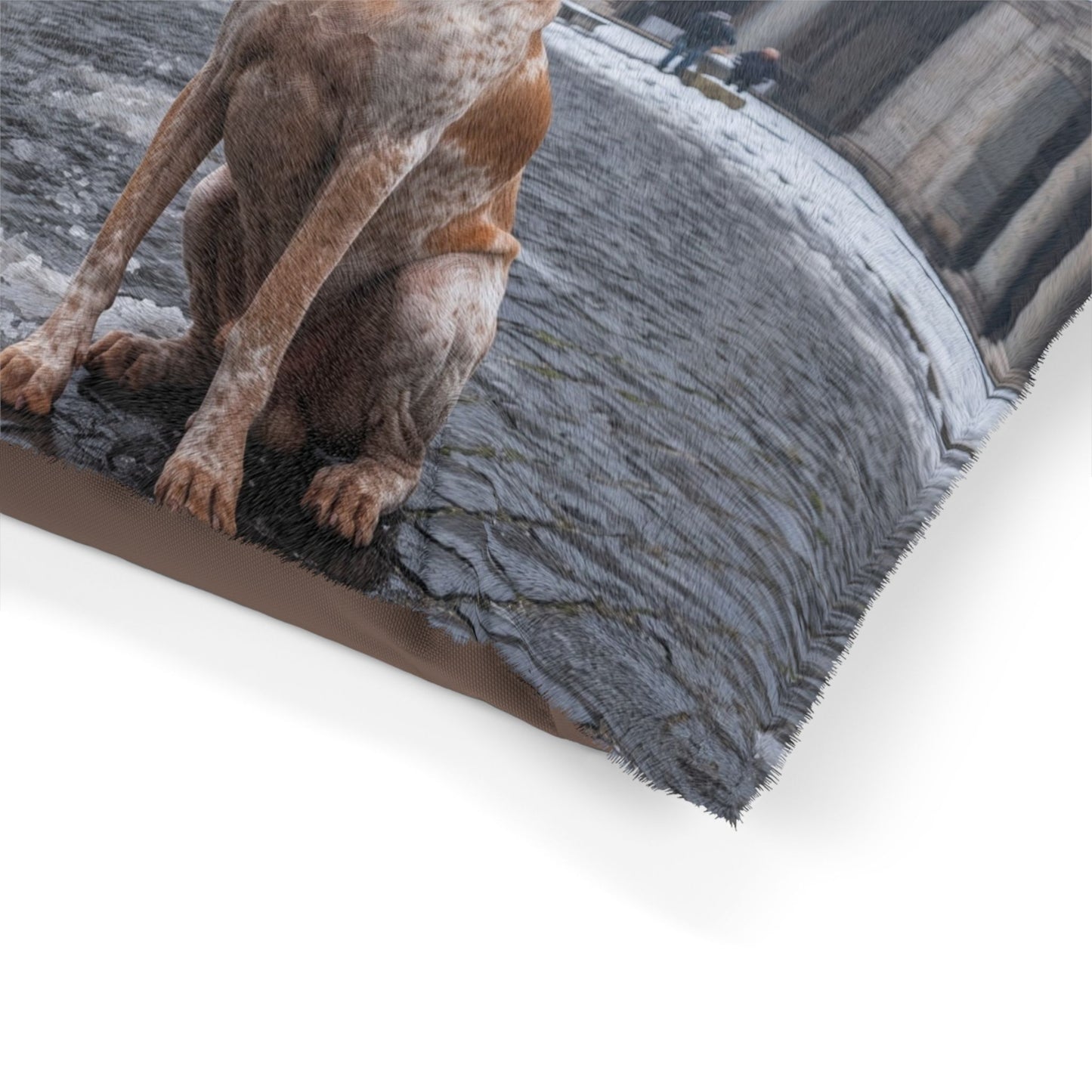 Bracco Italiano Pet Bed