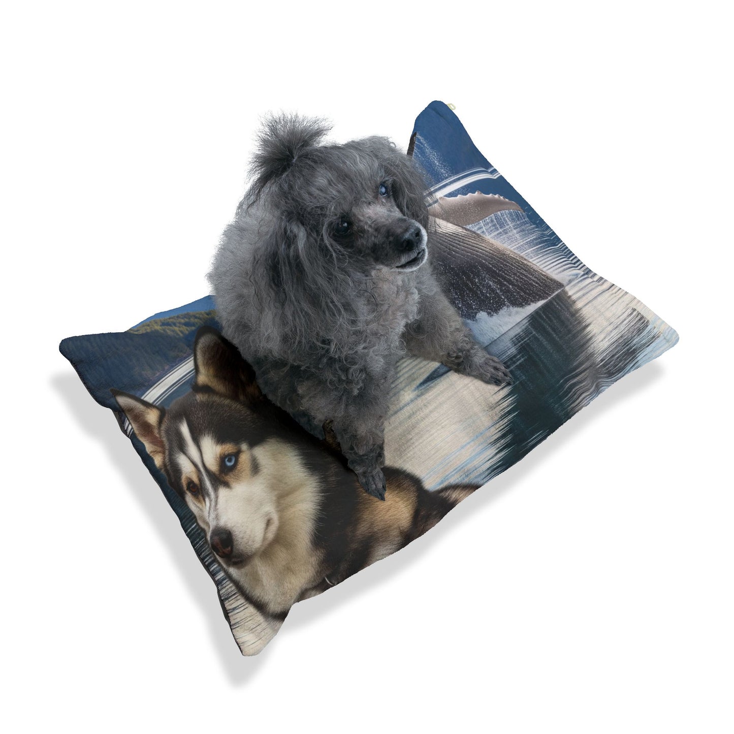 Alaskan Klee Kai Pet Bed
