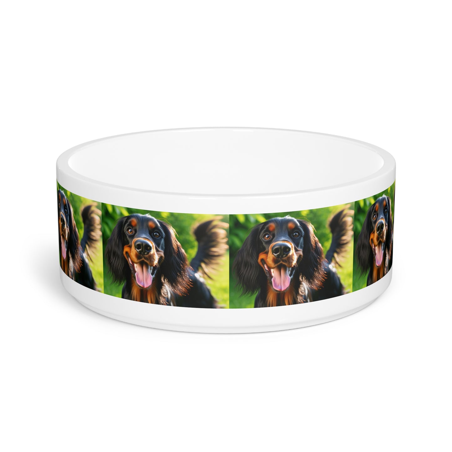 Gordon Setter Pet Bowl