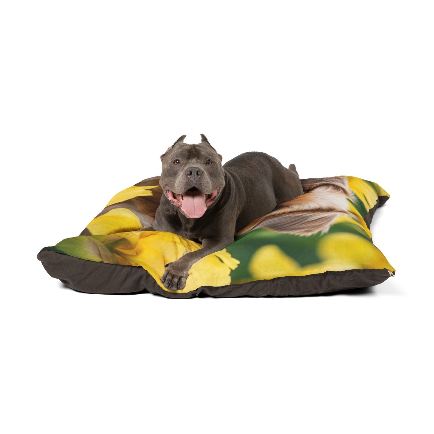 Silky Brussels Pet Bed