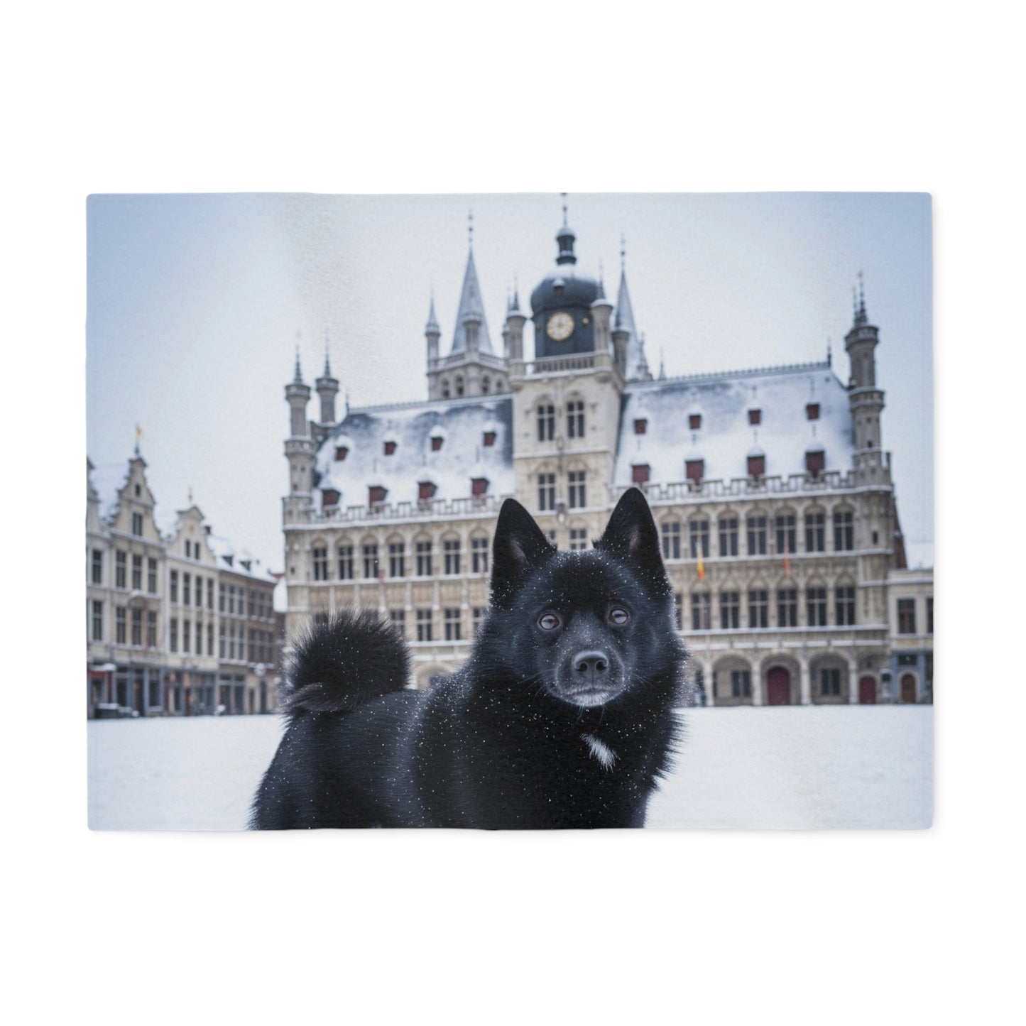 Schipperke Blanket