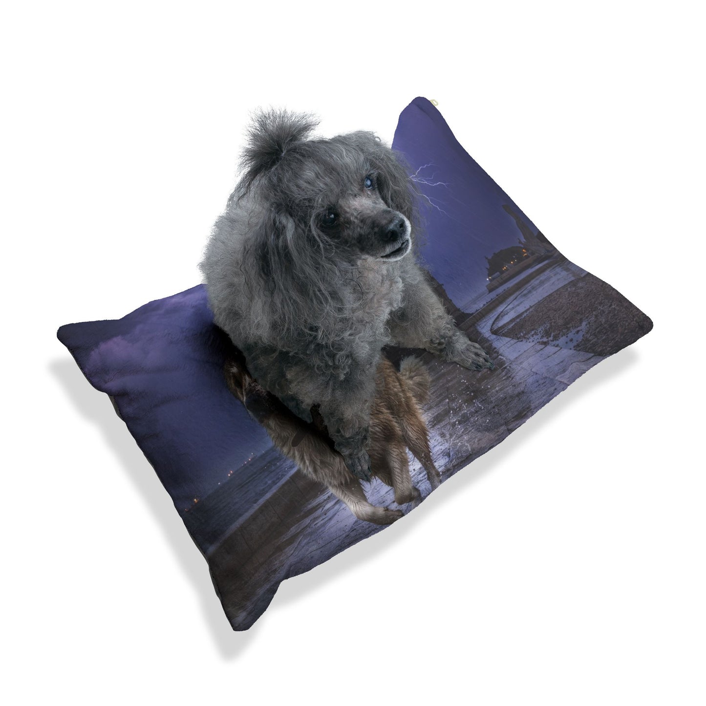 Estrela Mountain Dog Pet Bed