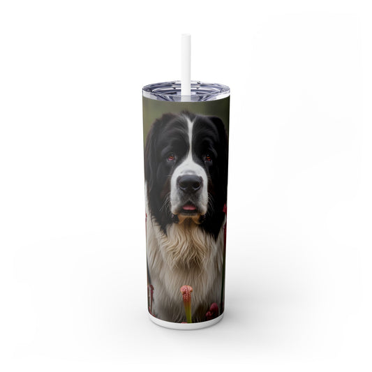 Landseer Tumbler with Straw, 20oz