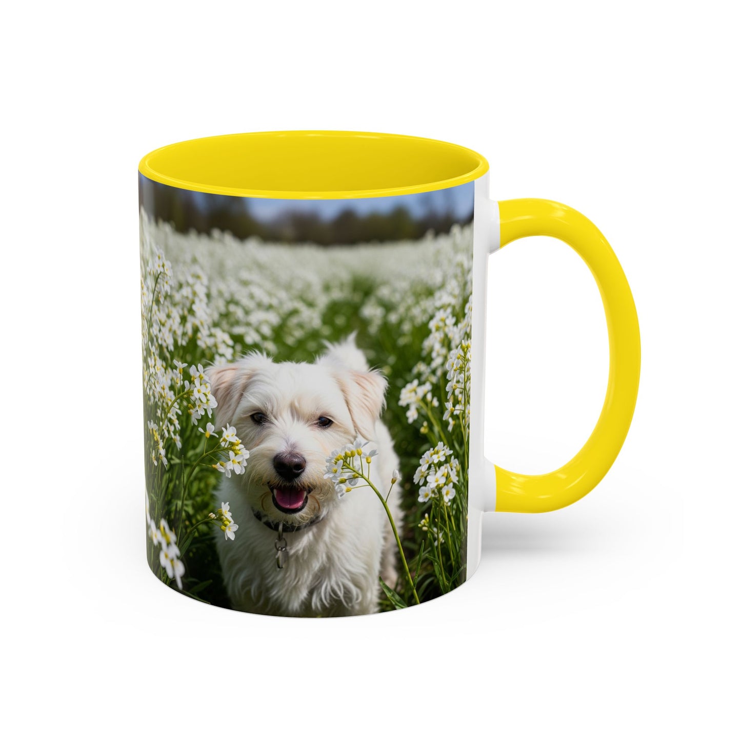 Taza de café con acento Kromfohrlander: el regalo perfecto para los amantes de los perros