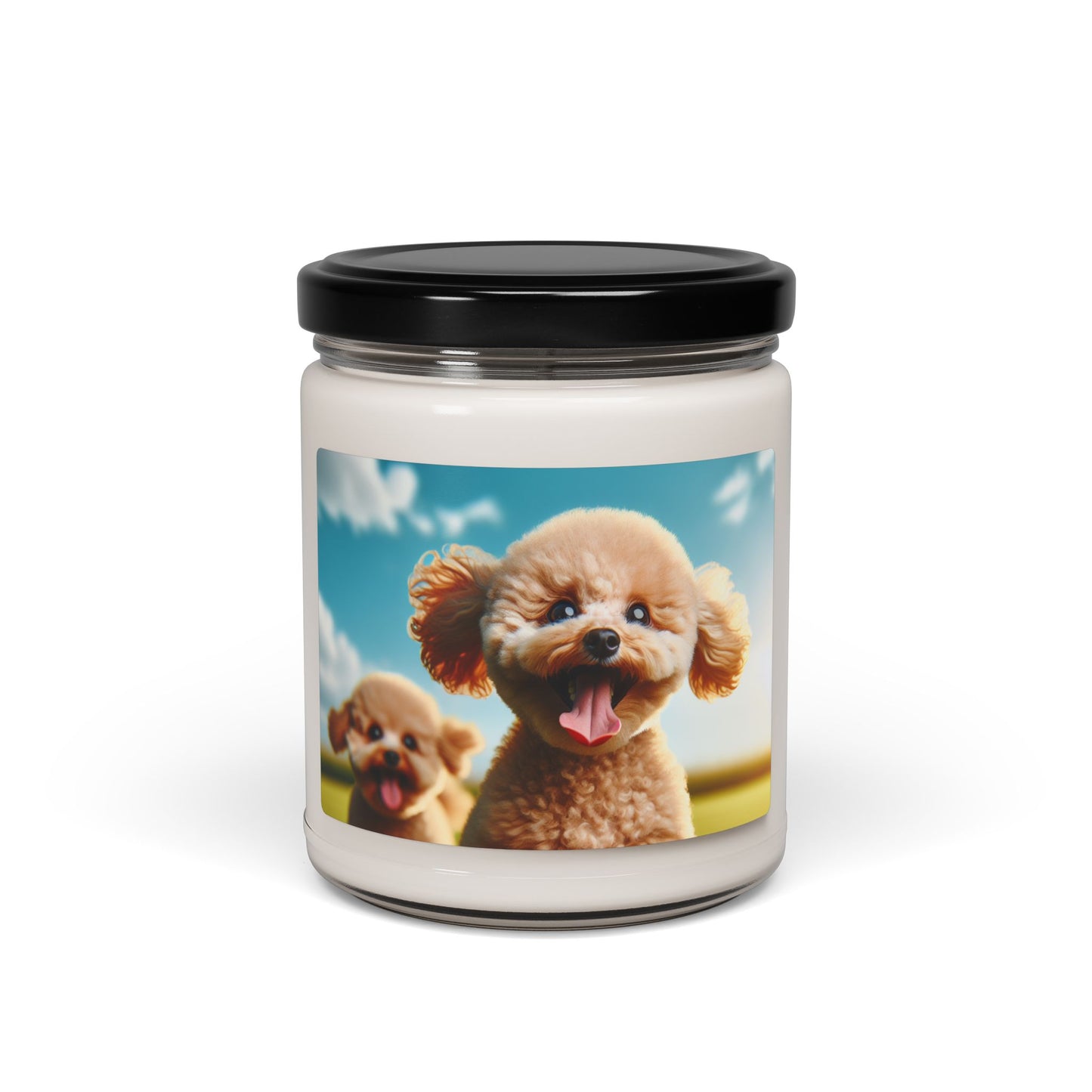 Toy Poodle- Scented Soy Candle, 9oz