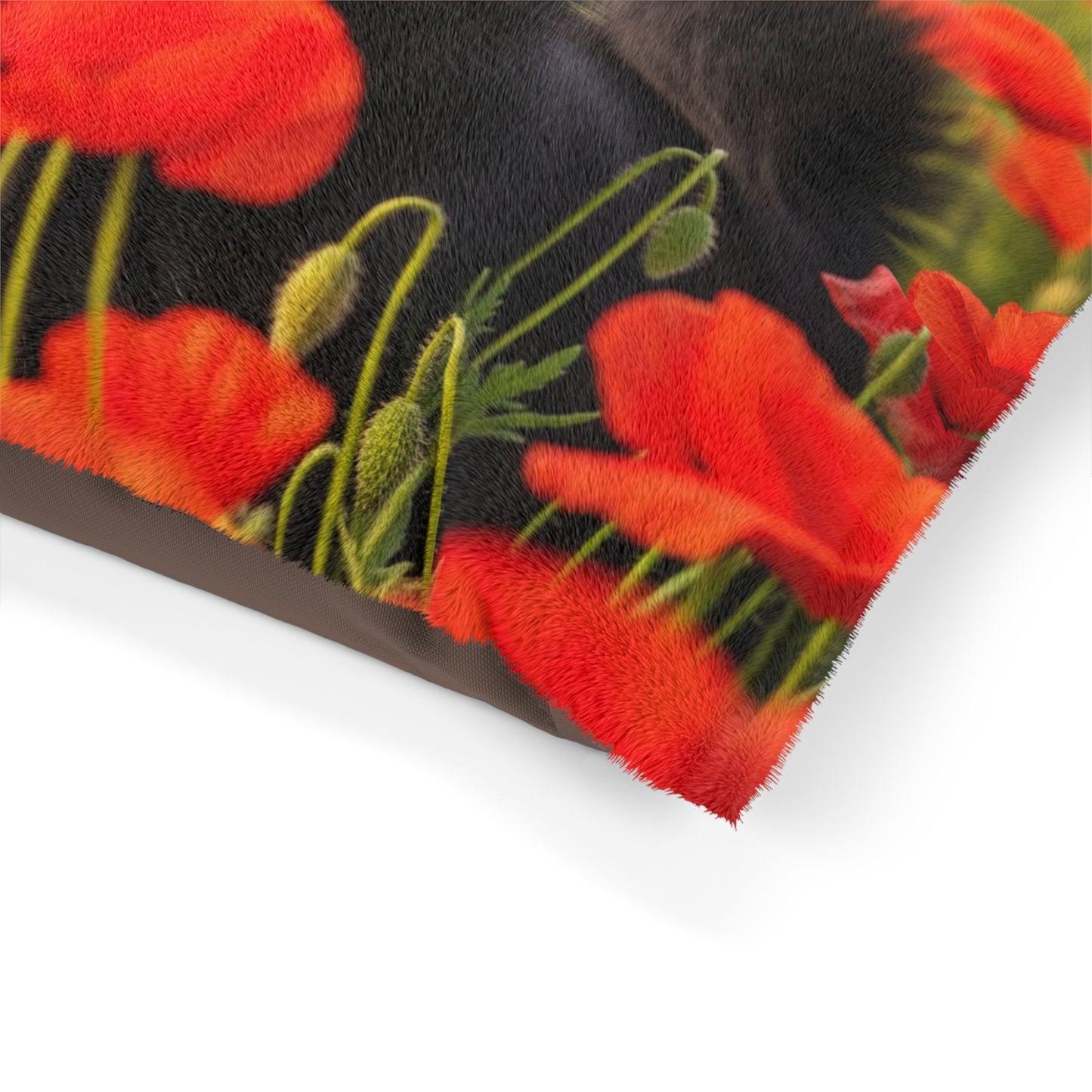 Lit pour animaux Schipperke