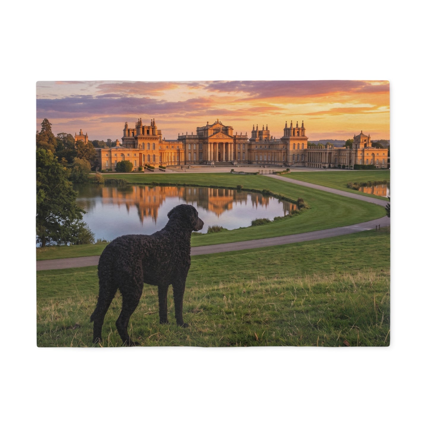 Curly Coated Retriever Blanket