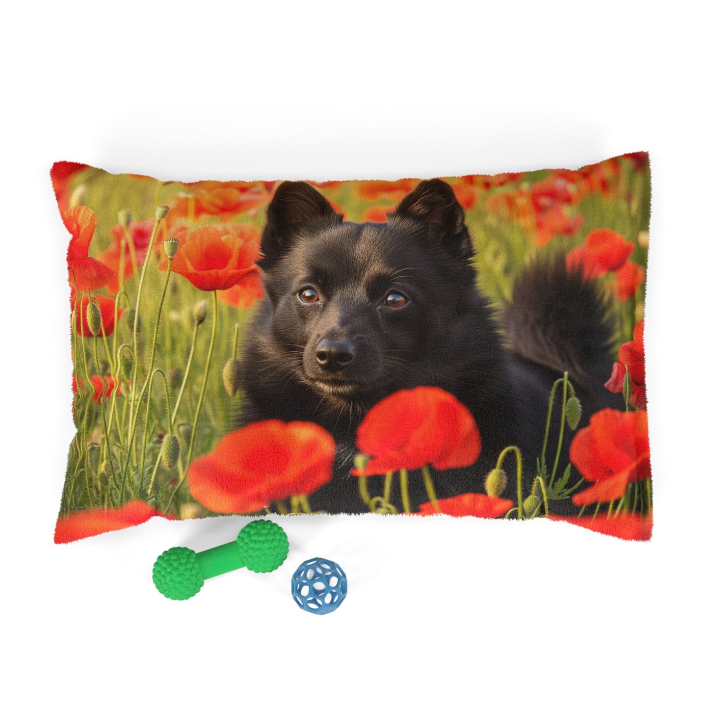 Lit pour animaux Schipperke
