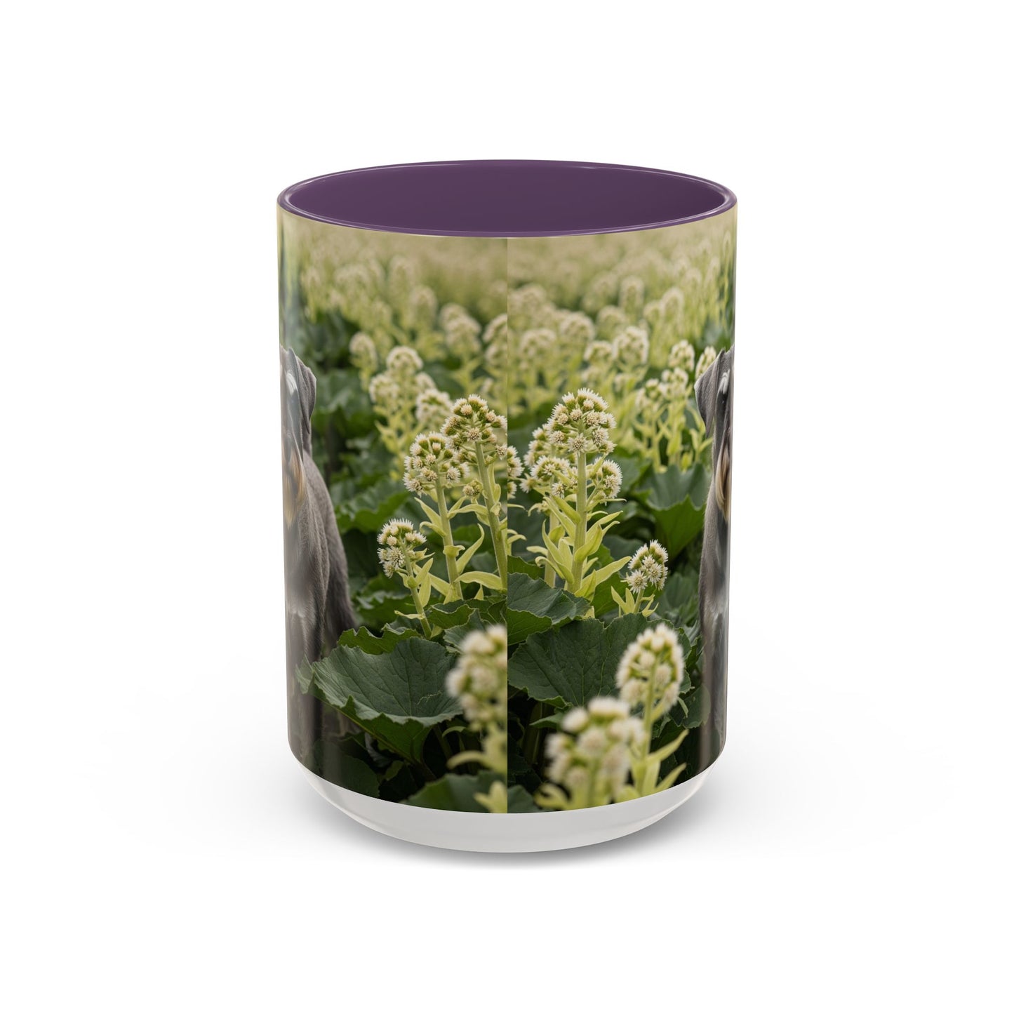 Mug à café avec motif Schnauzer standard - Cadeau idéal pour les amoureux des chiens