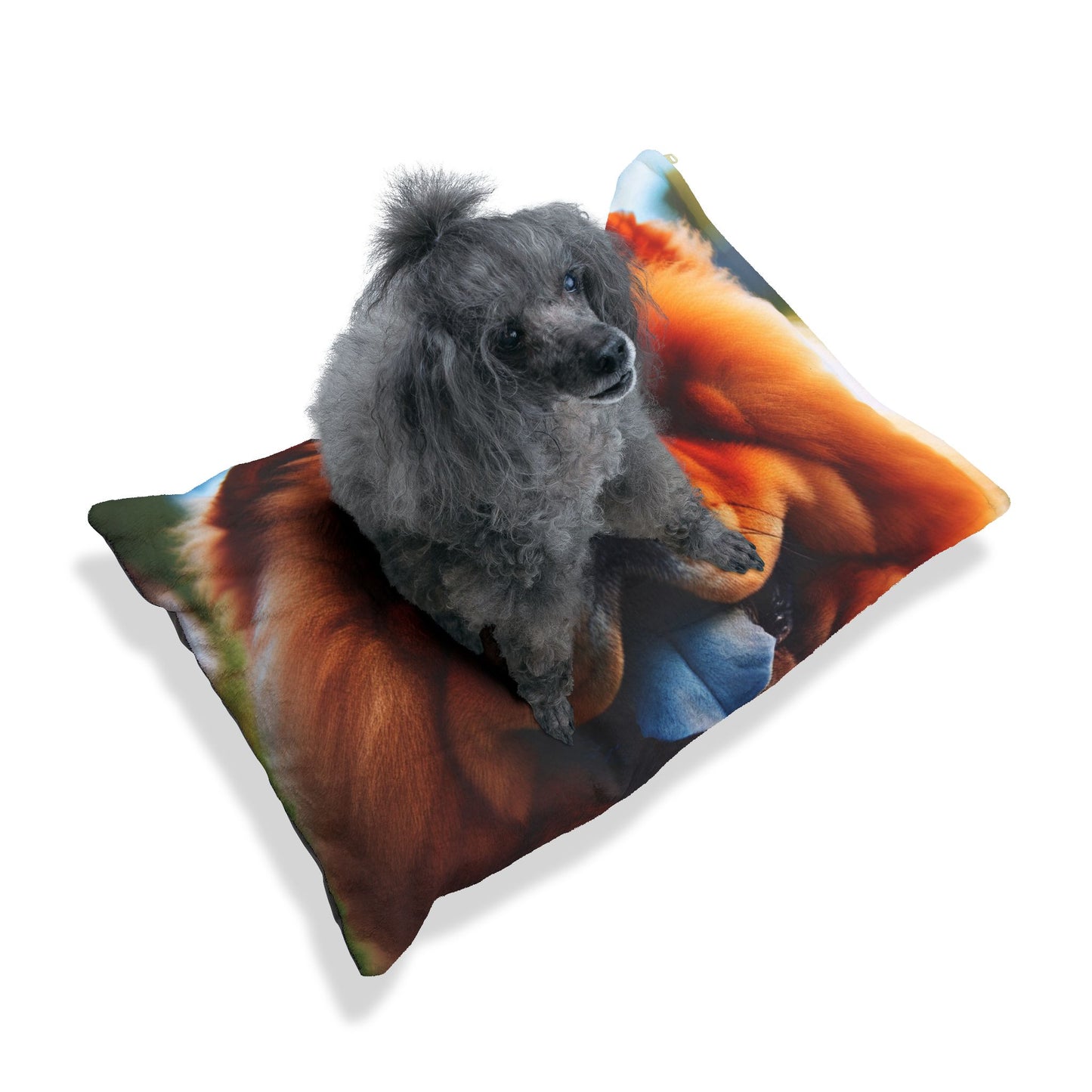 Chow Chow Pet Bed