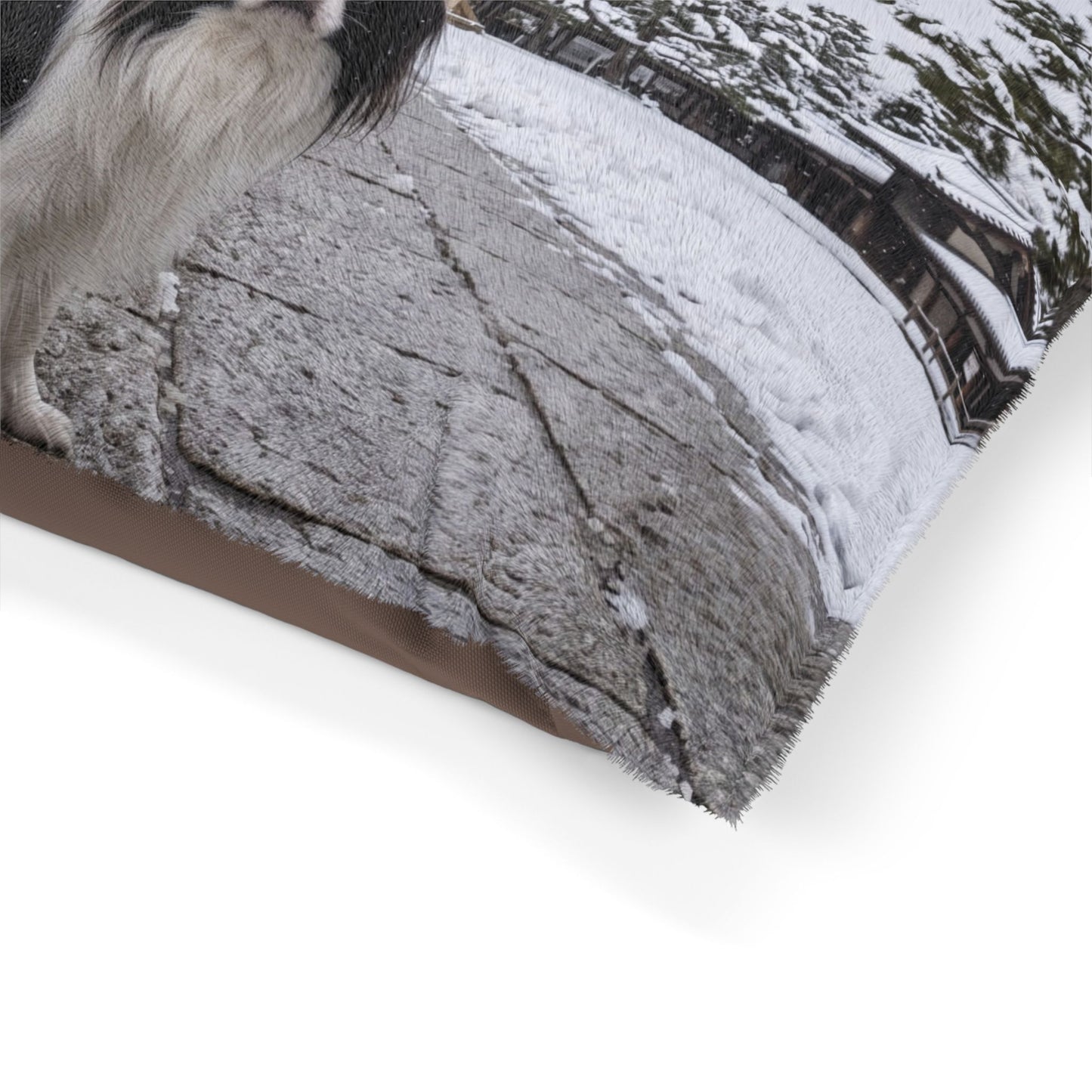 Japanese Chin Pet Bed