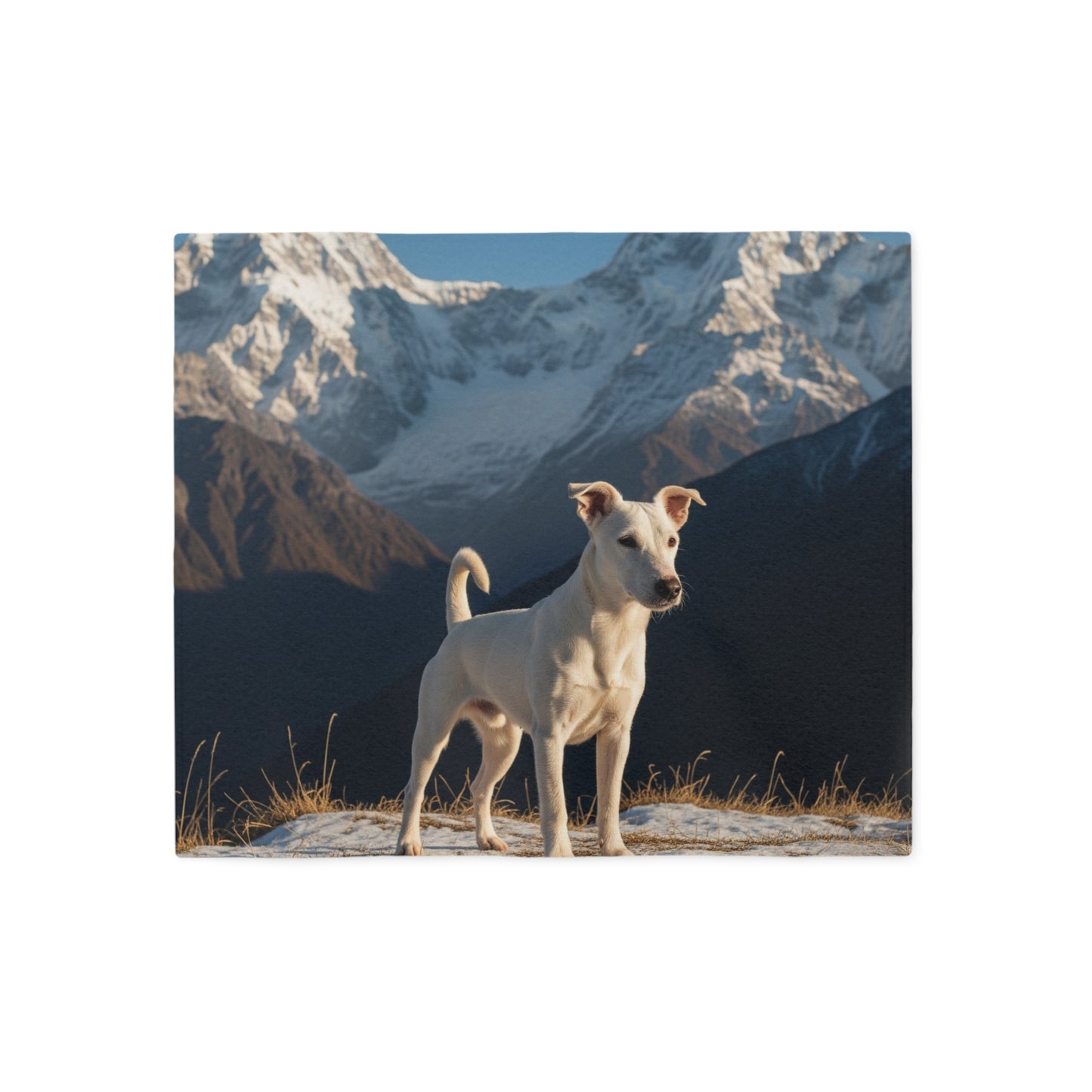 Gull Terrier Blanket