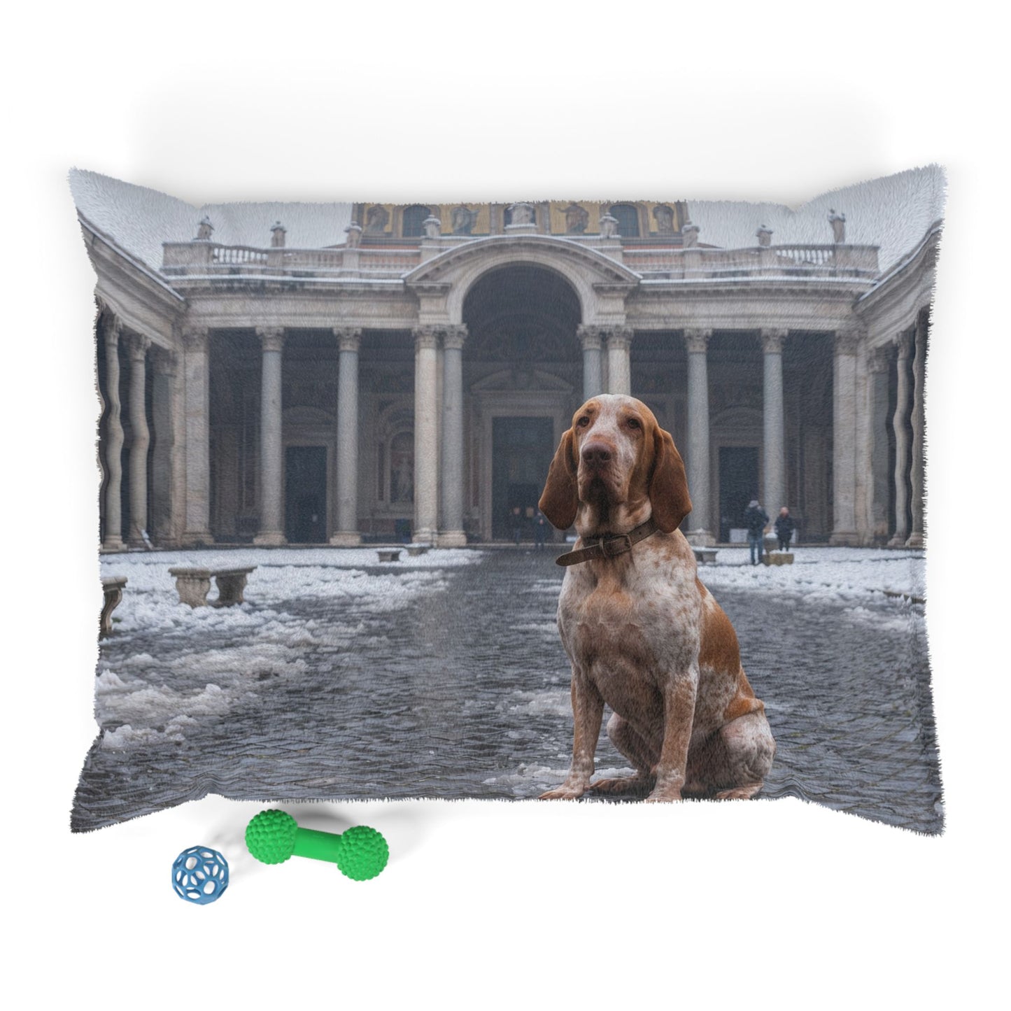 Bracco Italiano Pet Bed