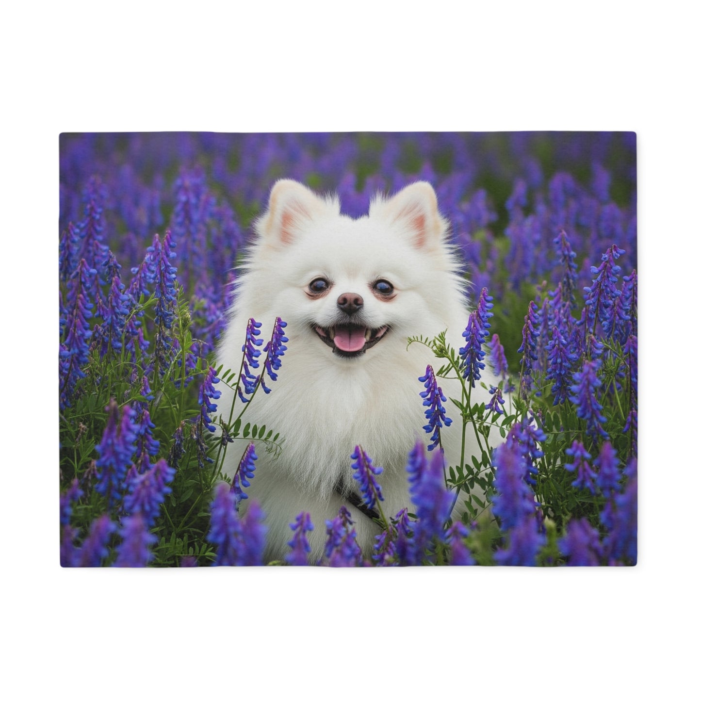 Pomeranian Sweatshirt Blanket