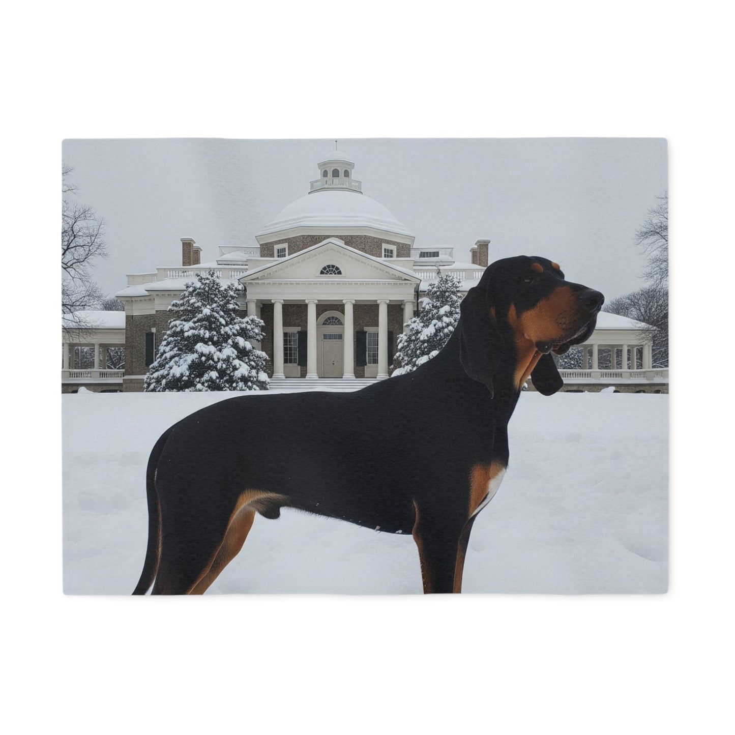 Black and Tan Coonhound Blanket