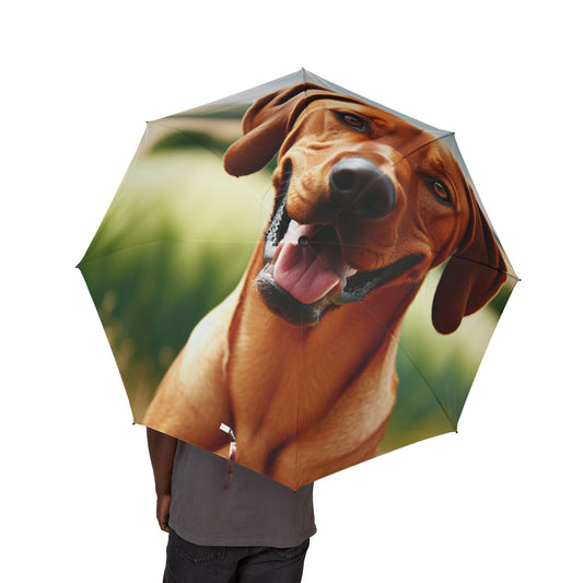 Portuguese Pointer Semi-Automatic Foldable Umbrella