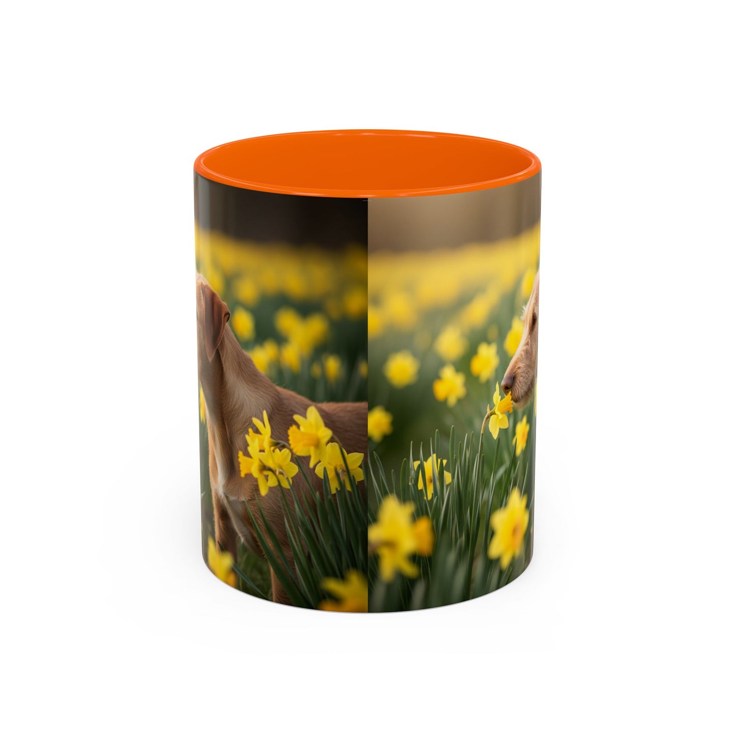 Mug à café avec motif Podengo Pequeno portugais - Cadeau idéal pour les amoureux des chiens