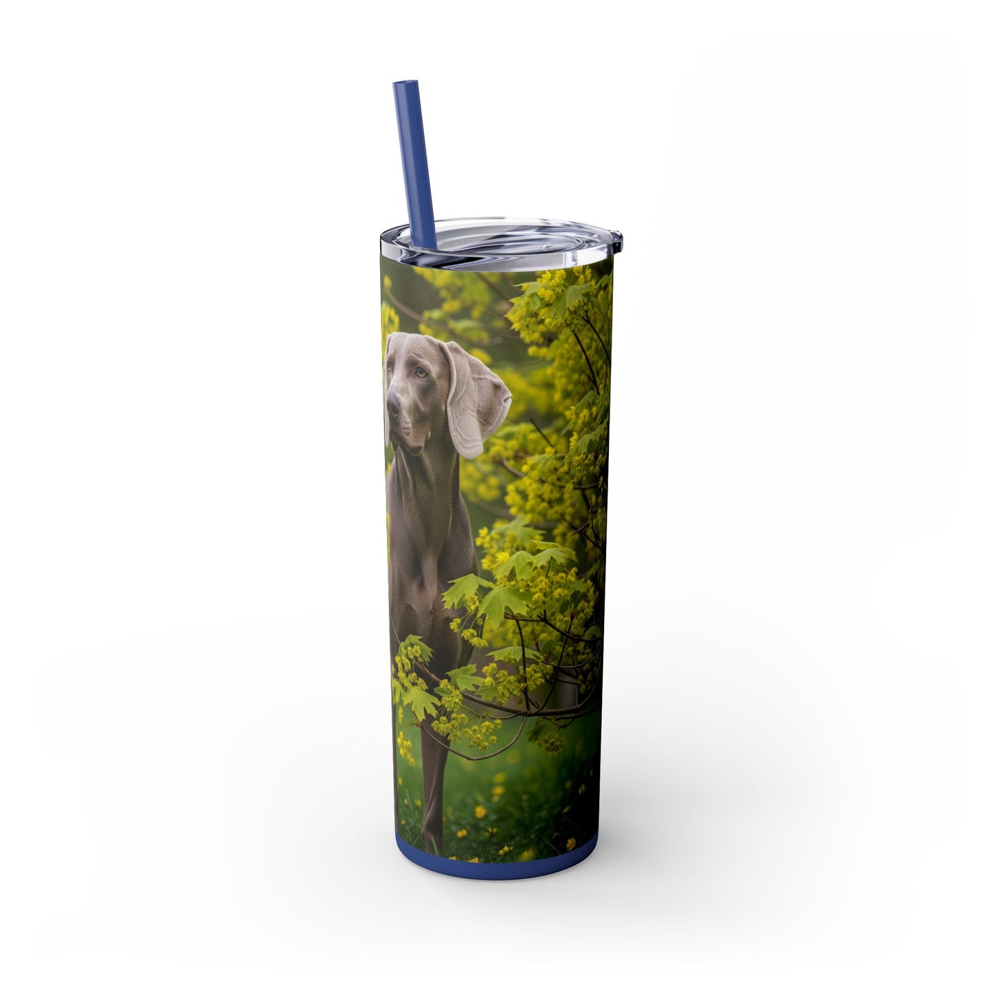 Weimaraner Skinny Tumbler with Straw, 20oz