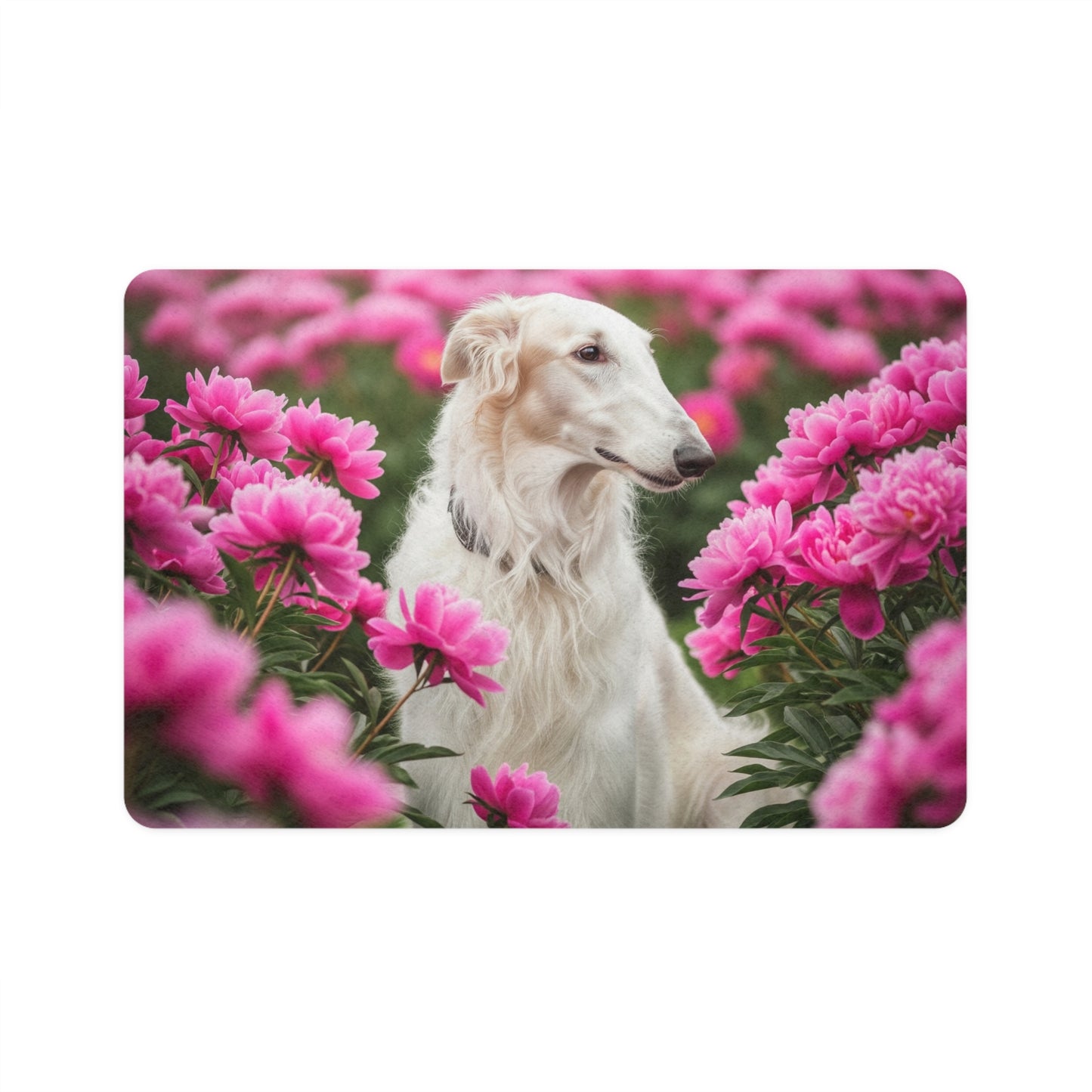Pet Food Mat (12x18) - Borzoi