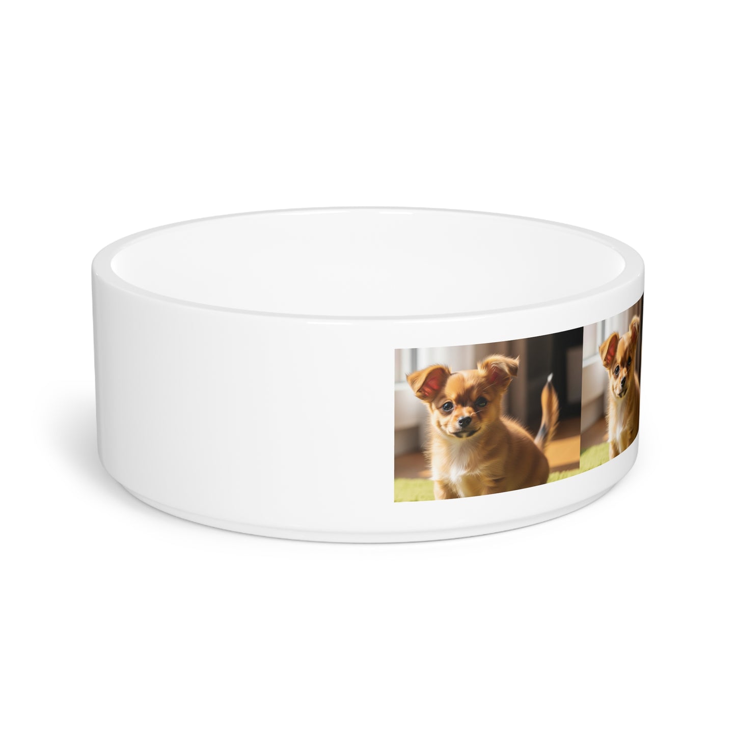 Toi Leo Pet Bowl