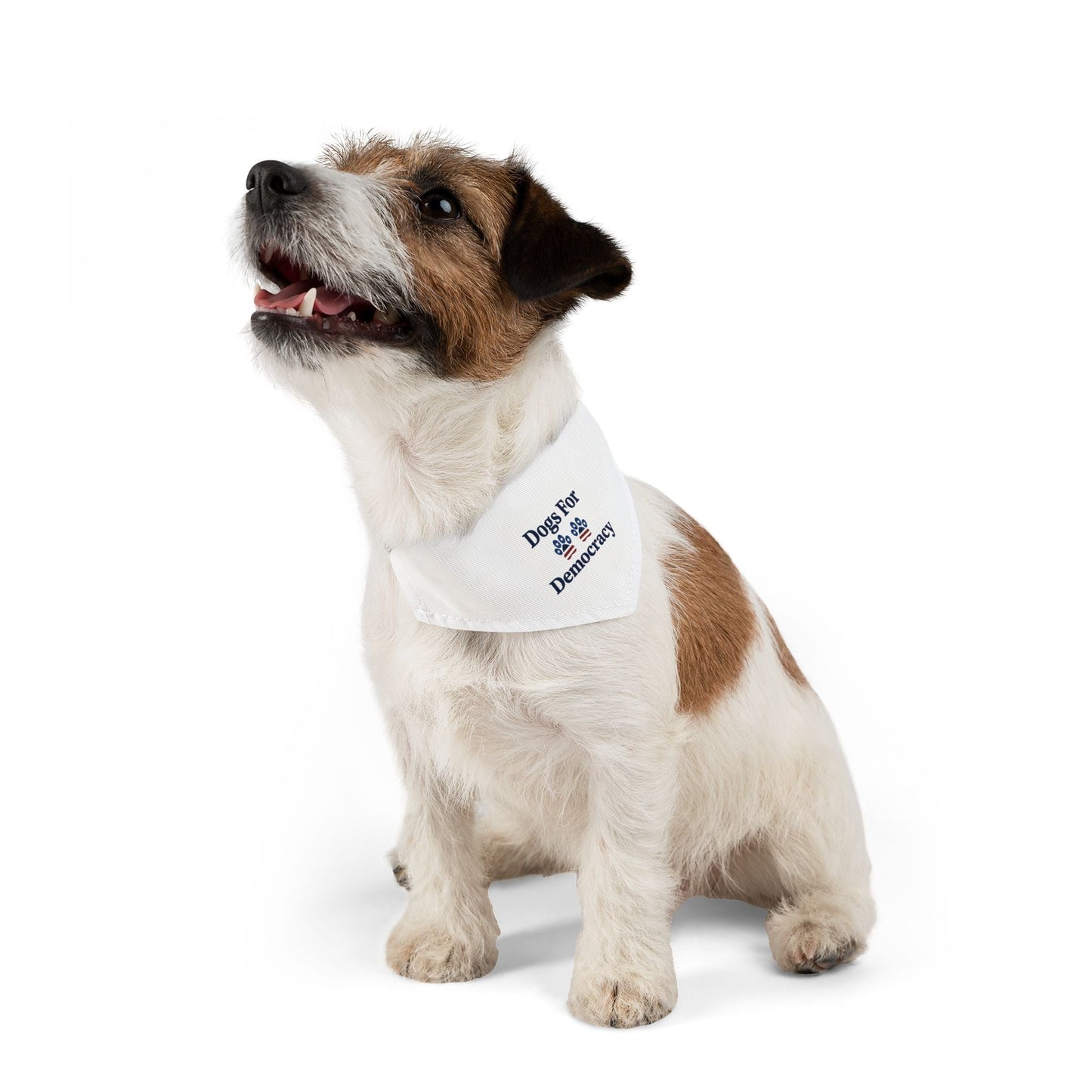 Dogs For Democracy Bandana and Collar
