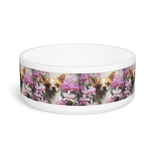 Chihuahua Pet Bowl