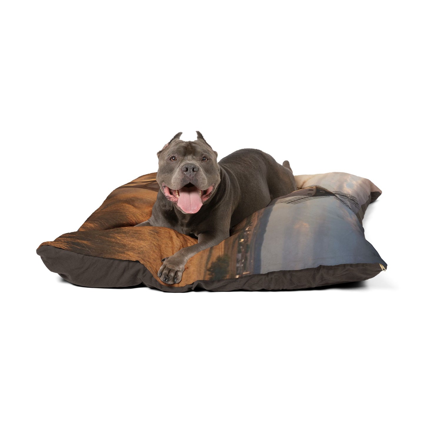 Spanish Mastiff Pet Bed