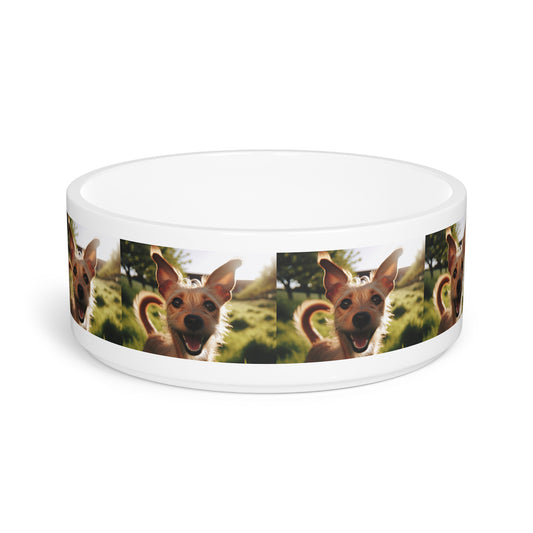 Portuguese Podengo Pet Bowl